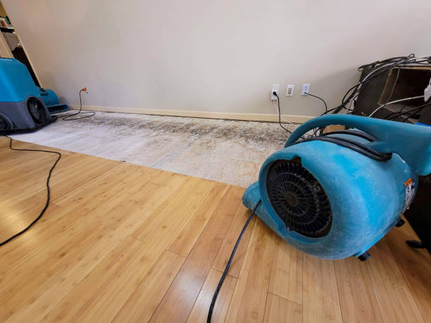 Professional Flood Damage Cleanup technician working in Taylorsville, MS